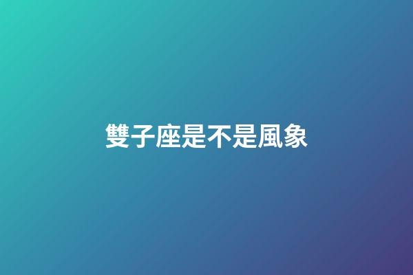 雙子座是不是風象-第1張-星座運勢-玄機派