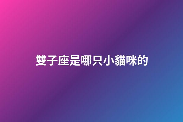 雙子座是哪只小貓咪的-第1張-星座運勢-玄機派