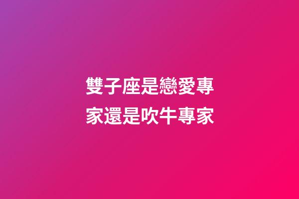 雙子座是戀愛專家還是吹牛專家-第1張-星座運勢-玄機派