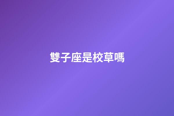 雙子座是校草嗎-第1張-星座運勢-玄機派