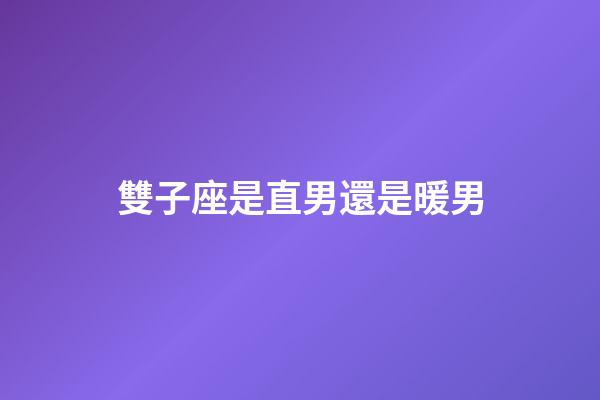 雙子座是直男還是暖男-第1張-星座運勢-玄機派