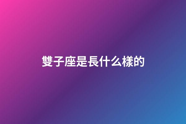 雙子座是長什么樣的-第1張-星座運勢-玄機派