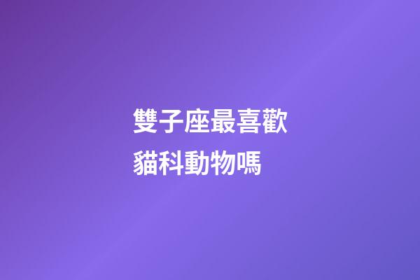 雙子座最喜歡貓科動物嗎