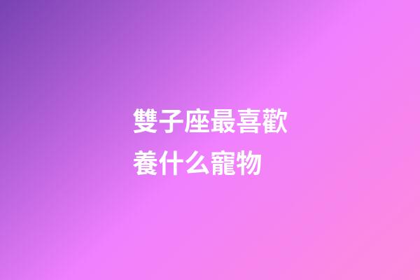 雙子座最喜歡養什么寵物-第1張-星座運勢-玄機派