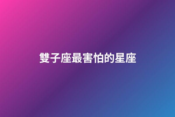 雙子座最害怕的星座-第1張-星座運勢-玄機派