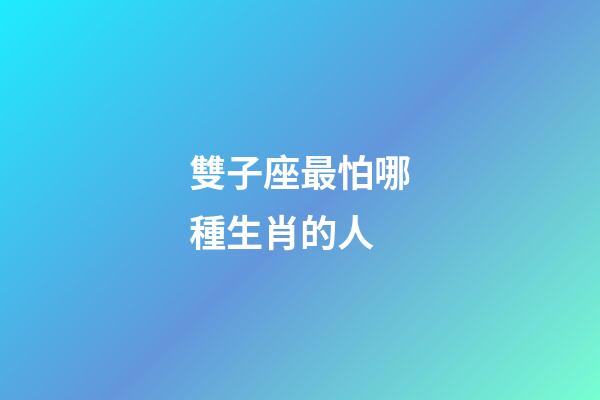 雙子座最怕哪種生肖的人-第1張-星座運勢-玄機派