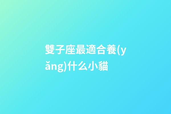 雙子座最適合養(yǎng)什么小貓-第1張-星座運勢-玄機(jī)派