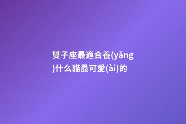 雙子座最適合養(yǎng)什么貓最可愛(ài)的-第1張-星座運(yùn)勢(shì)-玄機(jī)派