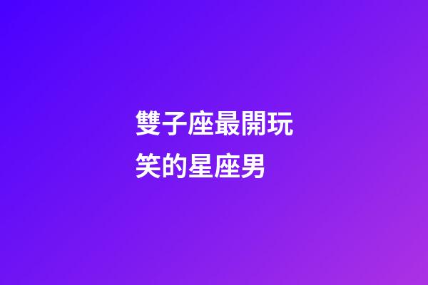 雙子座最開玩笑的星座男-第1張-星座運勢-玄機派