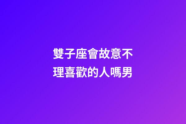 雙子座會故意不理喜歡的人嗎男-第1張-星座運勢-玄機派