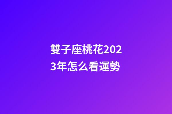 雙子座桃花2023年怎么看運勢-第1張-星座運勢-玄機派