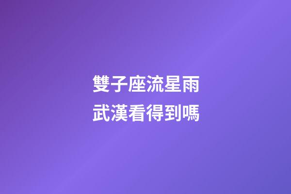 雙子座流星雨武漢看得到嗎