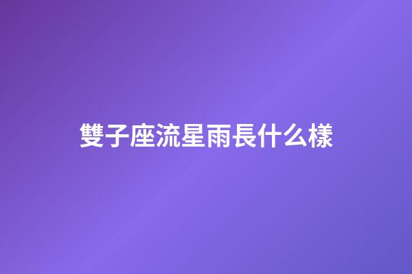 雙子座流星雨長什么樣-第1張-星座運勢-玄機派