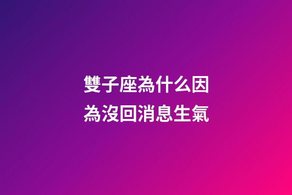雙子座為什么因為沒回消息生氣-第1張-星座運勢-玄機派
