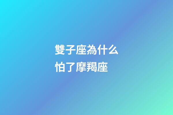 雙子座為什么怕了摩羯座-第1張-星座運勢-玄機派