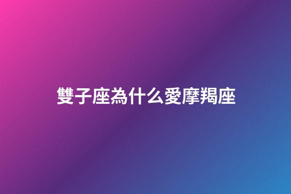 雙子座為什么愛摩羯座-第1張-星座運(yùn)勢(shì)-玄機(jī)派