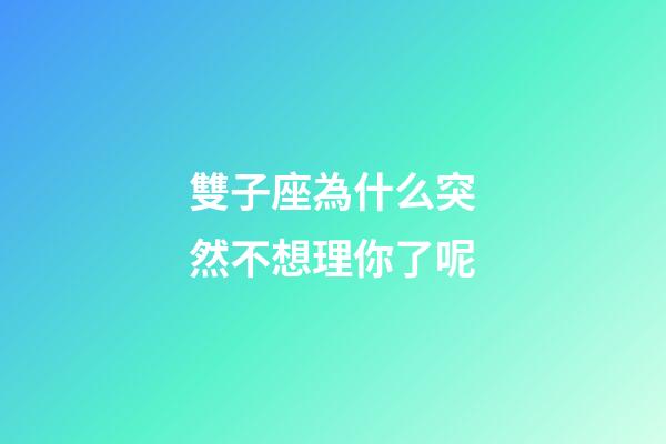 雙子座為什么突然不想理你了呢-第1張-星座運勢-玄機派