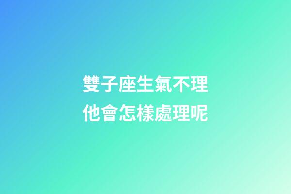 雙子座生氣不理他會怎樣處理呢-第1張-星座運勢-玄機派