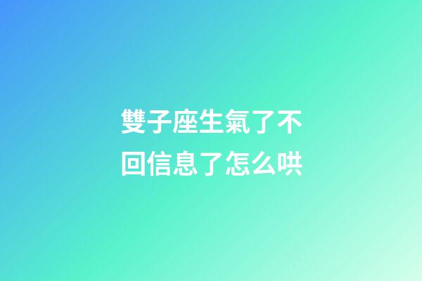 雙子座生氣了不回信息了怎么哄-第1張-星座運勢-玄機派