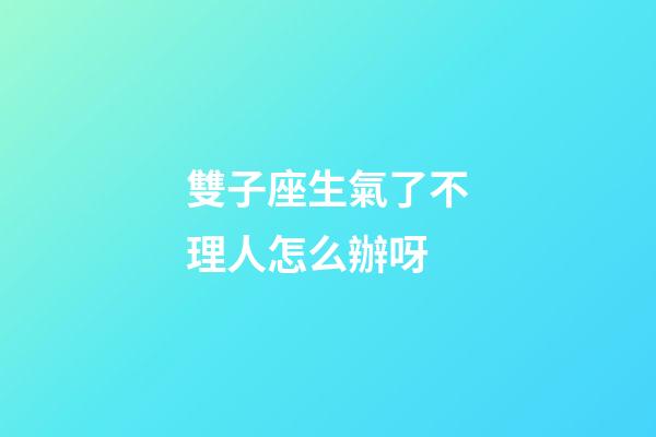 雙子座生氣了不理人怎么辦呀-第1張-星座運勢-玄機派