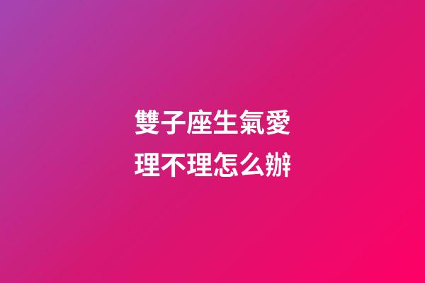 雙子座生氣愛理不理怎么辦-第1張-星座運勢-玄機派