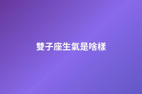雙子座生氣是啥樣-第1張-星座運(yùn)勢-玄機(jī)派