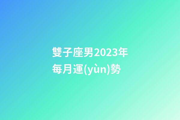 雙子座男2023年每月運(yùn)勢-第1張-星座運(yùn)勢-玄機(jī)派