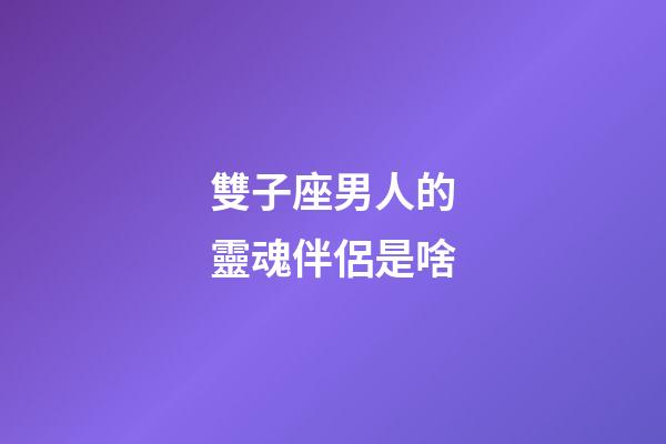 雙子座男人的靈魂伴侶是啥-第1張-星座運勢-玄機派