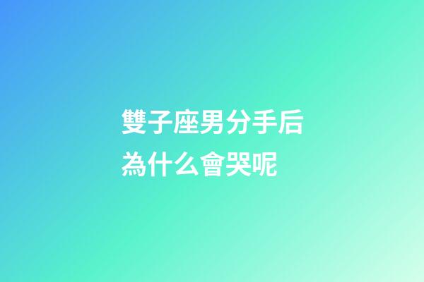 雙子座男分手后為什么會哭呢-第1張-星座運(yùn)勢-玄機(jī)派