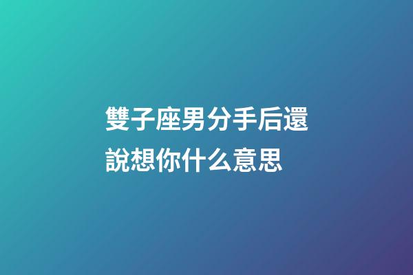 雙子座男分手后還說想你什么意思-第1張-星座運勢-玄機派