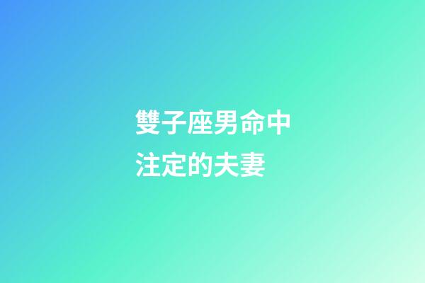 雙子座男命中注定的夫妻-第1張-星座運勢-玄機派