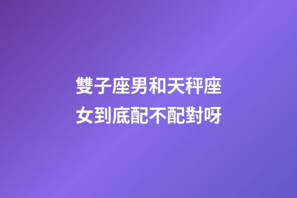 雙子座男和天秤座女到底配不配對呀-第1張-星座運勢-玄機派