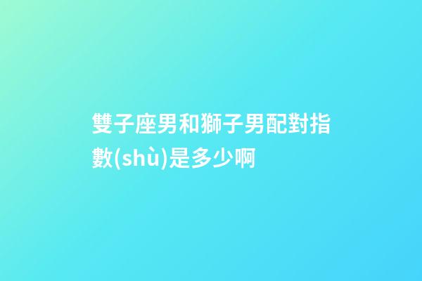 雙子座男和獅子男配對指數(shù)是多少啊-第1張-星座運(yùn)勢-玄機(jī)派