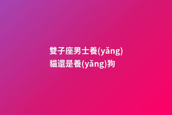 雙子座男士養(yǎng)貓還是養(yǎng)狗