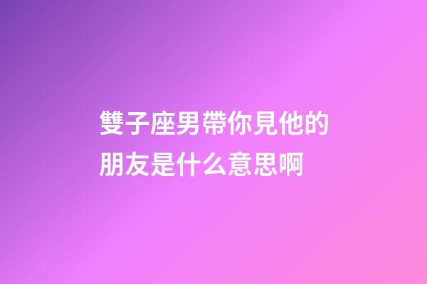 雙子座男帶你見他的朋友是什么意思啊