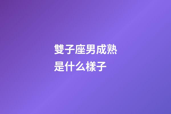 雙子座男成熟是什么樣子