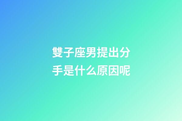雙子座男提出分手是什么原因呢