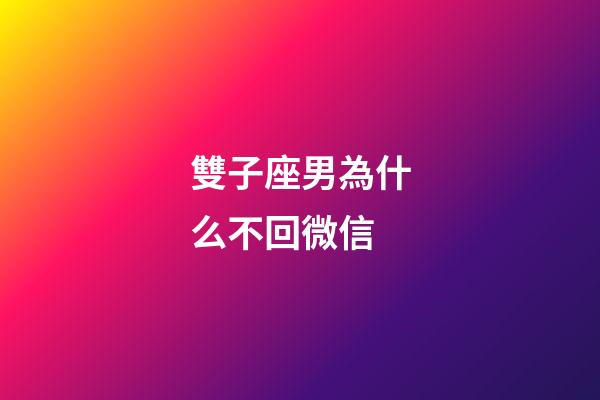 雙子座男為什么不回微信-第1張-星座運勢-玄機派