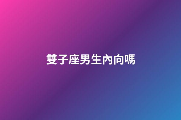 雙子座男生內向嗎-第1張-星座運勢-玄機派