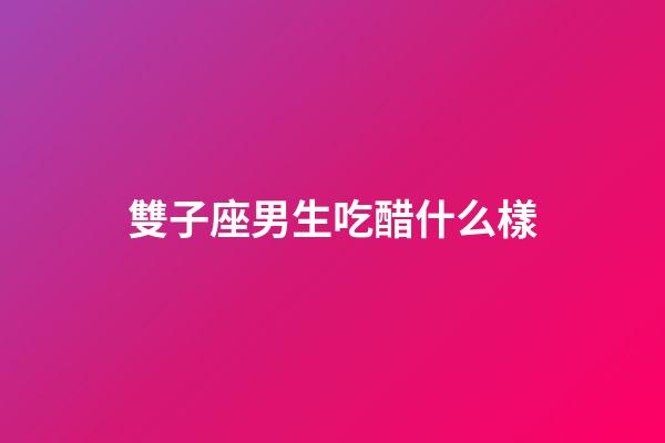 雙子座男生吃醋什么樣-第1張-星座運勢-玄機派