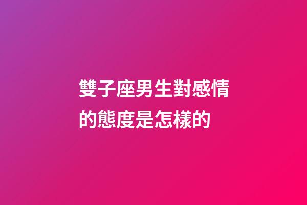 雙子座男生對感情的態度是怎樣的-第1張-星座運勢-玄機派