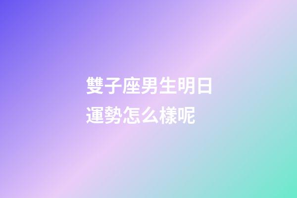 雙子座男生明日運勢怎么樣呢-第1張-星座運勢-玄機派