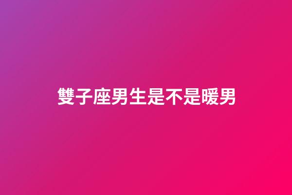 雙子座男生是不是暖男-第1張-星座運勢-玄機派