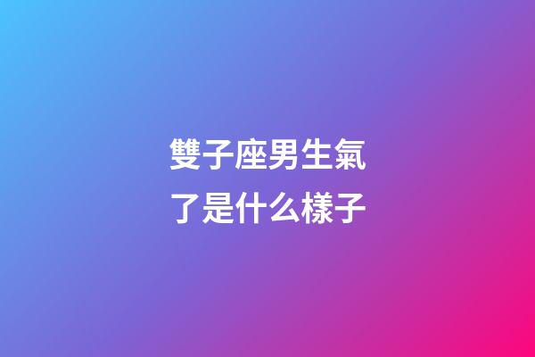 雙子座男生氣了是什么樣子-第1張-星座運(yùn)勢-玄機(jī)派