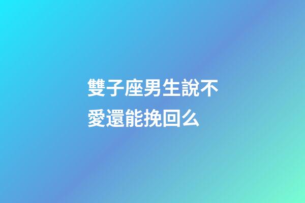 雙子座男生說不愛還能挽回么-第1張-星座運勢-玄機派