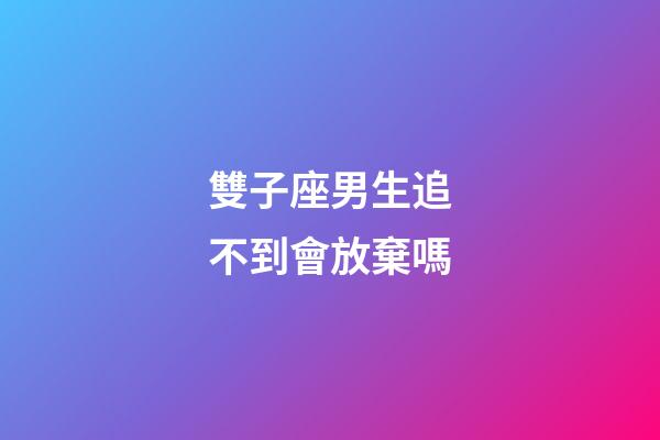 雙子座男生追不到會放棄嗎-第1張-星座運勢-玄機派