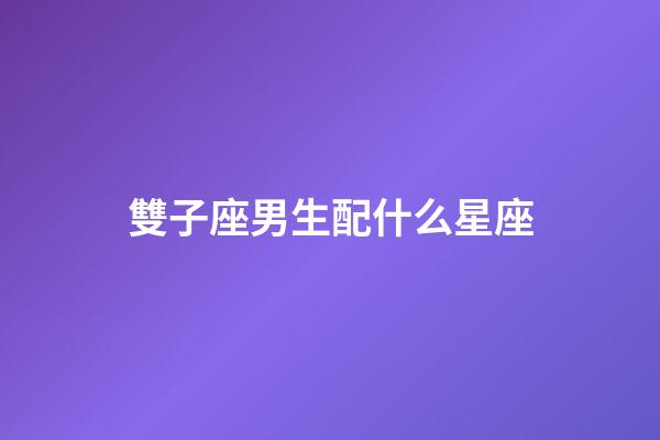 雙子座男生配什么星座-第1張-星座運勢-玄機派