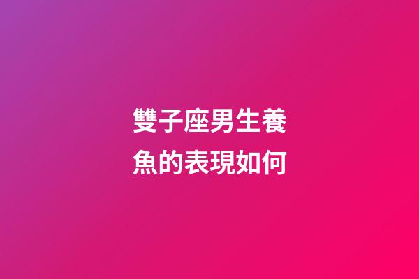 雙子座男生養魚的表現如何