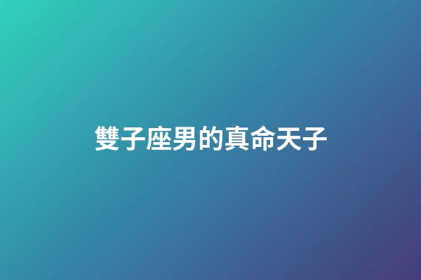 雙子座男的真命天子-第1張-星座運勢-玄機派