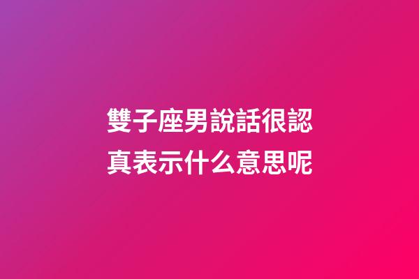雙子座男說話很認真表示什么意思呢-第1張-星座運勢-玄機派